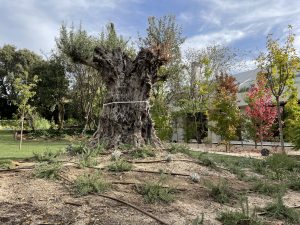 Vivienda unifamiliar en Las Rozas.